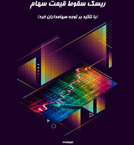 ریسک سقوط قیمت سهام (با تأکید بر توجه سهامداران خرد)