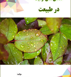 عکاسی نمای نزدیک در طبیعت