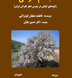 بادام کوهی (گونه‌های گیاهی در معرض خطر انقراض ایران)