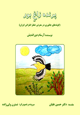 پرنده زاغِ بور (گونه‌های جانوری در معرض خطر انقراض ایران)