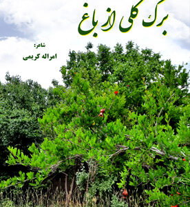 برگ گلی از باغ