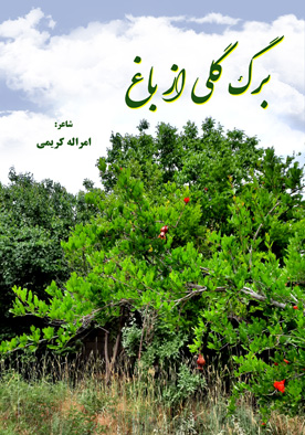 برگ گلی از باغ