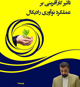 تأثیر کارآفرینی بر عملکرد نوآوری رادیکال