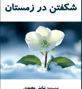 شکفتن در زمستان
