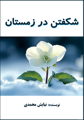 شکفتن در زمستان